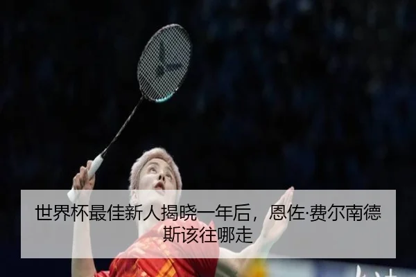 世界杯最佳新人揭晓一年后，恩佐·费尔南德斯该往哪走